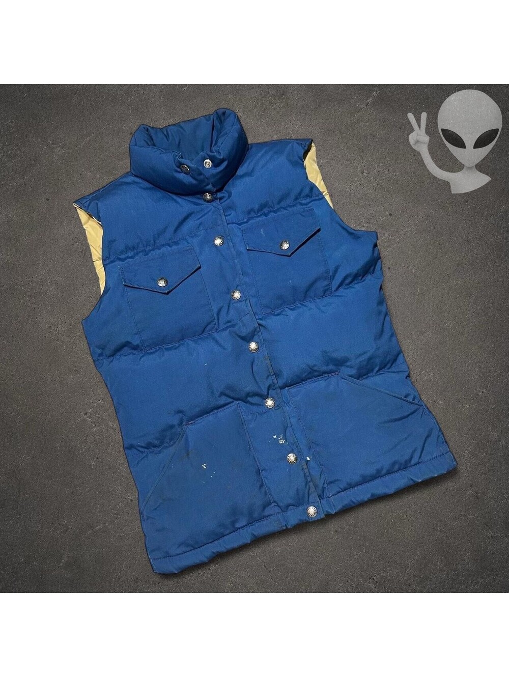 Vintage The North Face Brown Label Down Puffer Vest Women's US Size S Blue - Picture 3 of 8